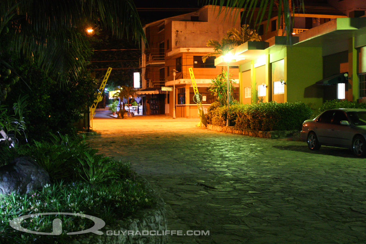 Ginette Shops At Night