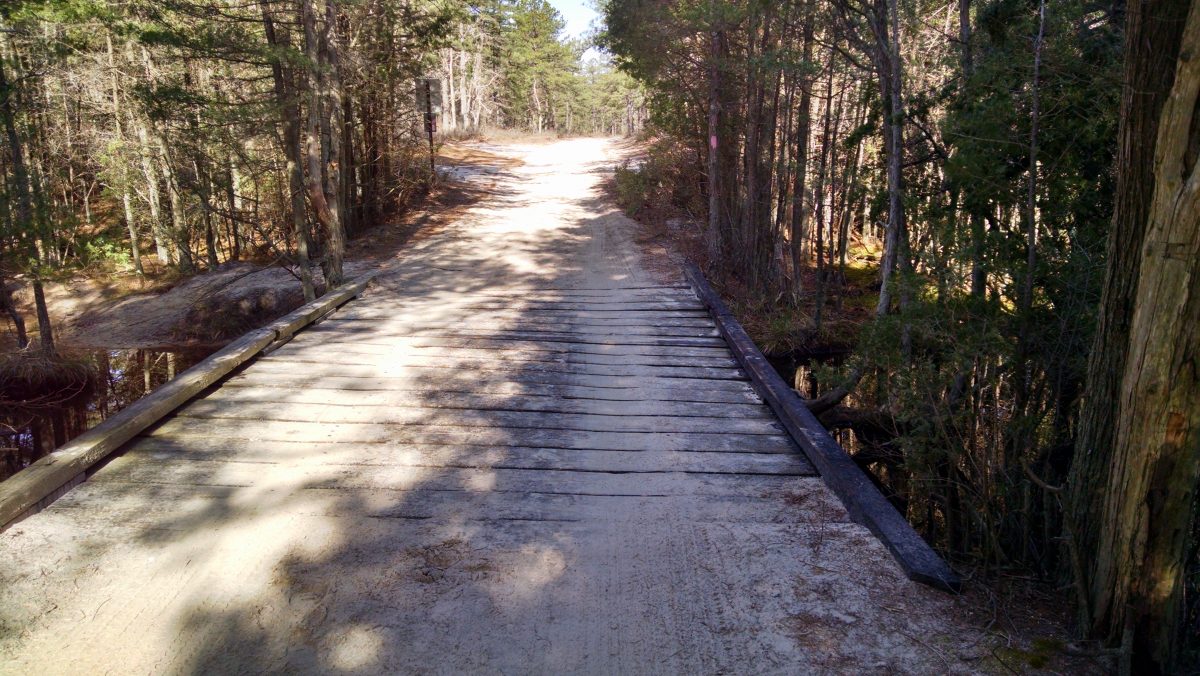 Wharton State Forest - Batona Trail 2016 Part 2