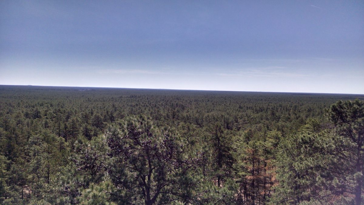 Apple Pie Hill Fire Tower 2016