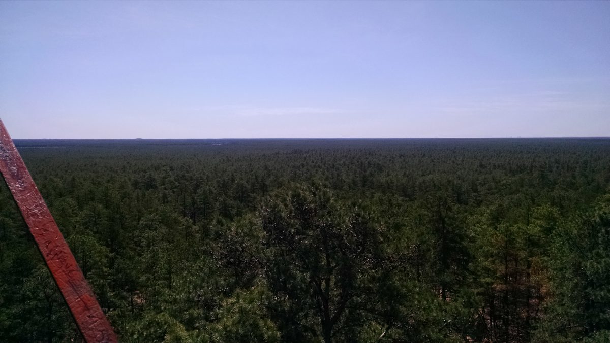 Apple Pie Hill Fire Tower 2016