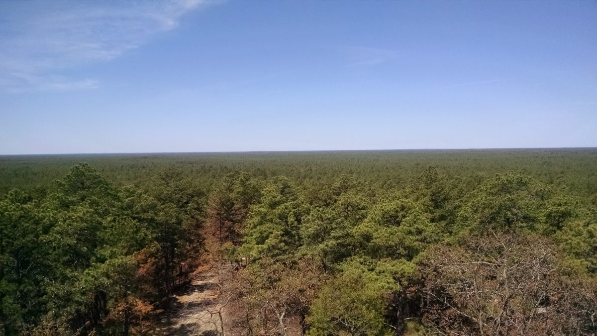 Apple Pie Hill Fire Tower 2016