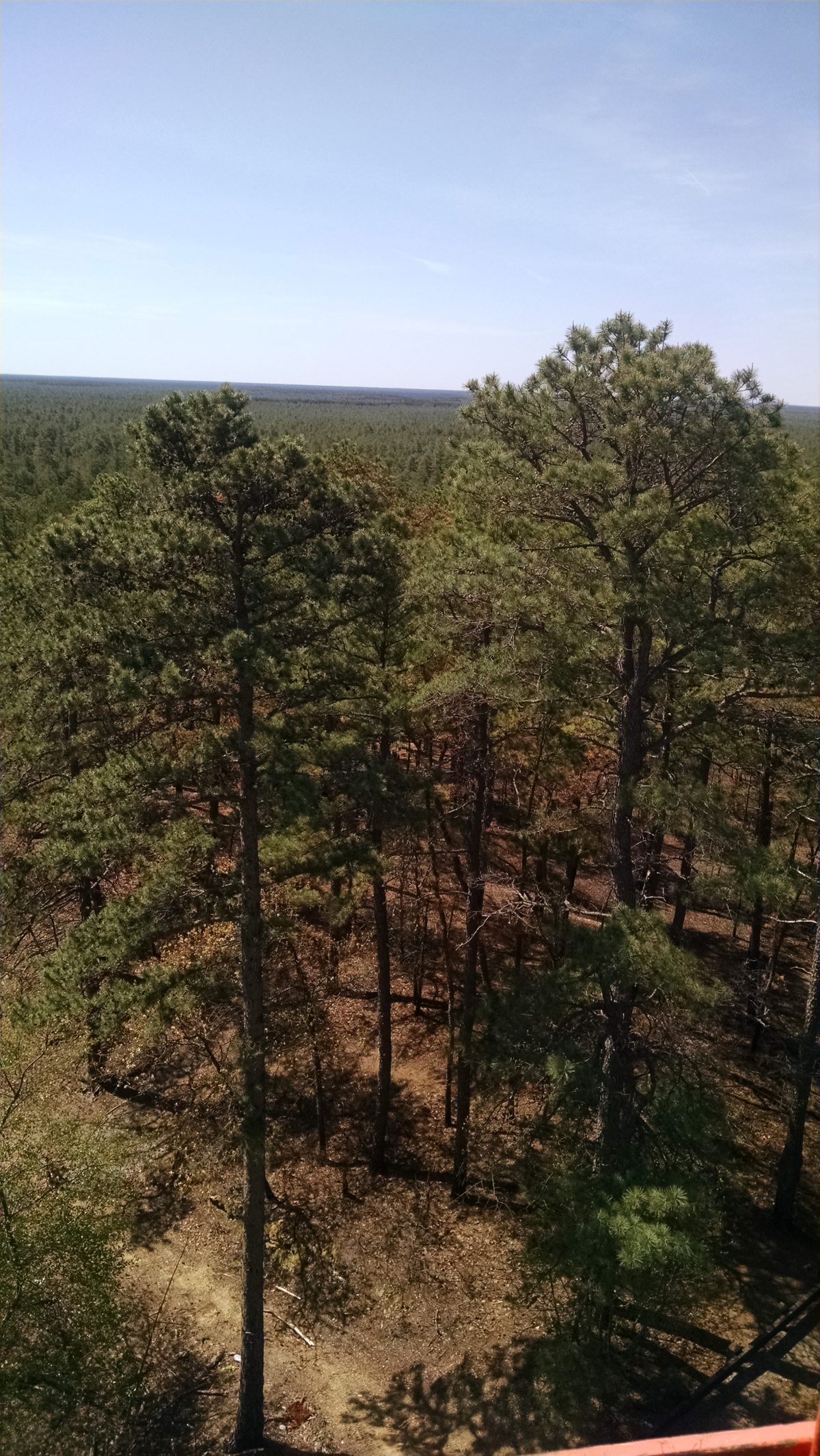 Apple Pie Hill Fire Tower 2016