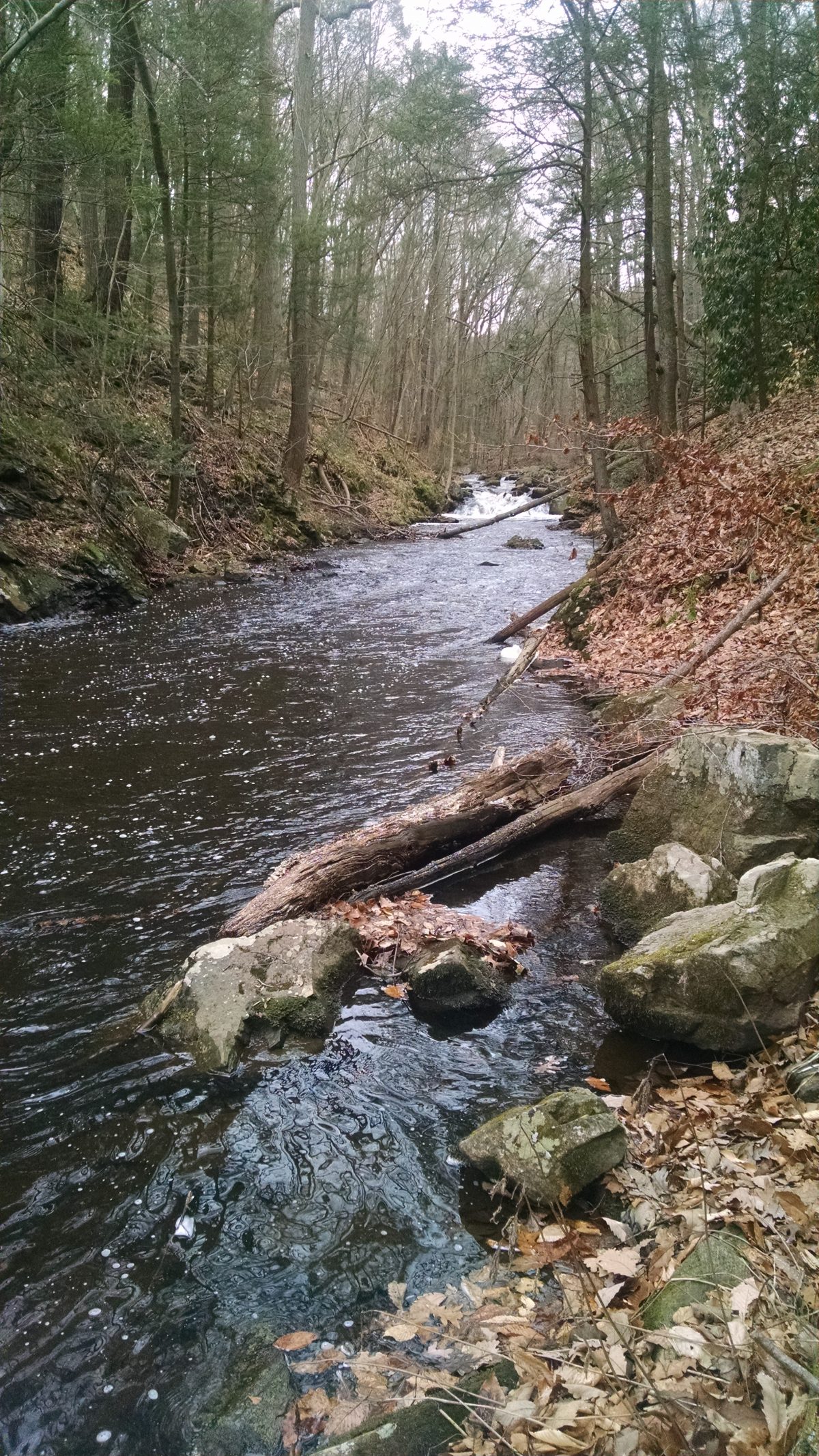 Black River Park January 2017 Part 2